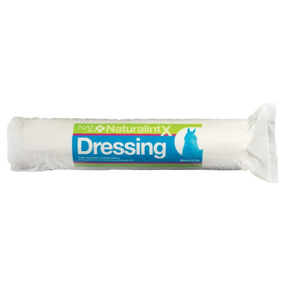 NAF NaturalintX Dressing 500g NAF