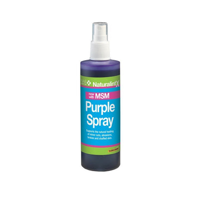 NAF NaturalintX Spray Purple with MSM 240ml NAF