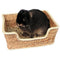Rosewood Naturals Chill & Snooze Bed