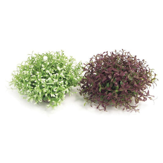 Rosewood Sydeco Water Ball Maxi x 4 Rosewood