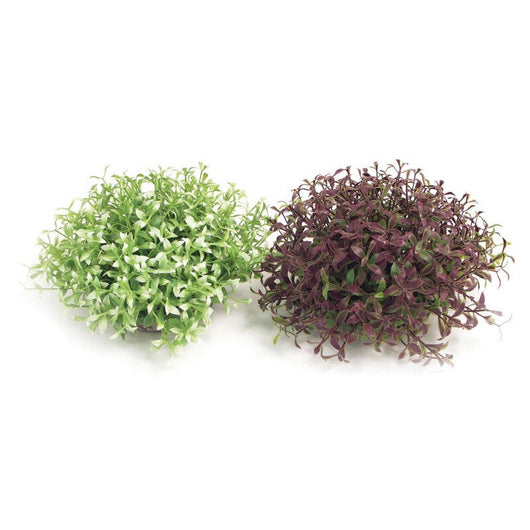 Rosewood Sydeco Water Ball Maxi x 4 Rosewood
