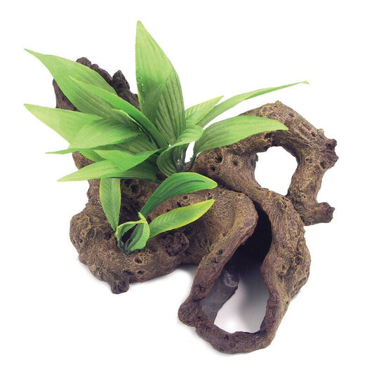Rosewood Blue Ribbon Mopani Wood with Plants Small Rosewood