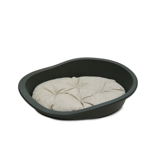 Rosewood Sonny Plastic Bed Graphite 80cm Rosewood