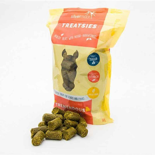 Silvermoor Treatsies Tremendous Turmeric Horse Treats 1kg Silvermoor