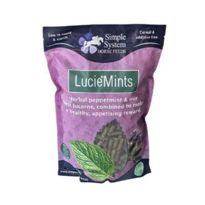 Simple System Lucie Mints 1.5kg Simple System