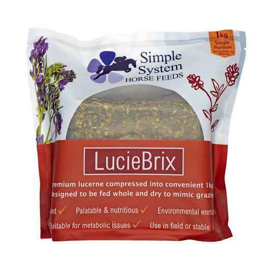 Simple System Lucie Brix Single 1kg Simple System