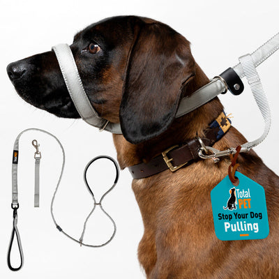 Total Pet Swivel Flat Figure 8 Dog Lead 210cm Total Pet