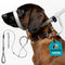 Total Pet Swivel Flat Figure 8 Dog Lead 210cm