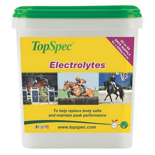 TopSpec Electrolytes 3kg TopSpec