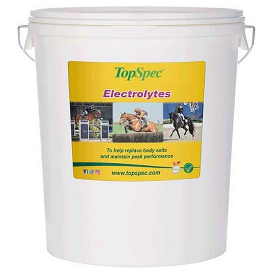 TopSpec Electrolytes 20kg TopSpec