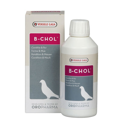 Versele Laga Oropharma B-Chol 500ml Versele Laga Oropharma