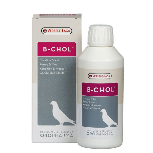 Versele Laga Oropharma B-Chol 500ml Versele Laga Oropharma