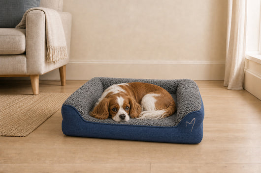 Gor Pets Noodle Dog Bed Large Blue
