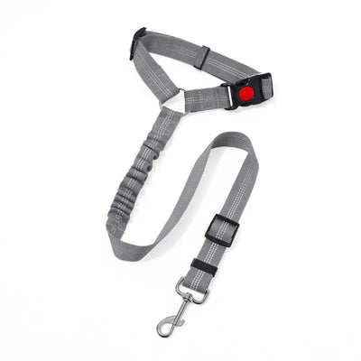 Dog Car Seat Belt Lead Teamdrop