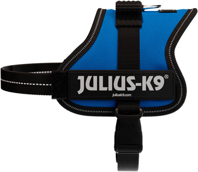 Julius-K9 Powerharness Mini-Mini (XS) 40-53cm/22mm, Blue