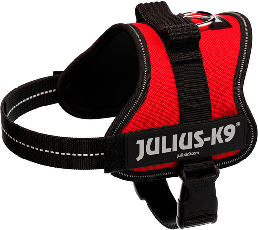 Julius-K9 Powerharness Mini (S) 51-67cm/28mm, Red
