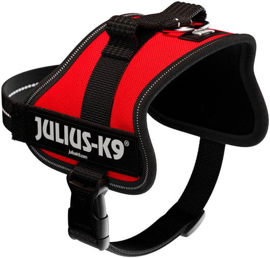Julius-K9 Powerharness Mini (S) 51-67cm/28mm, Red