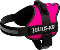 Julius-K9 Powerharness Size 2 (XL) 71-96cm/50mm, Fuchsia