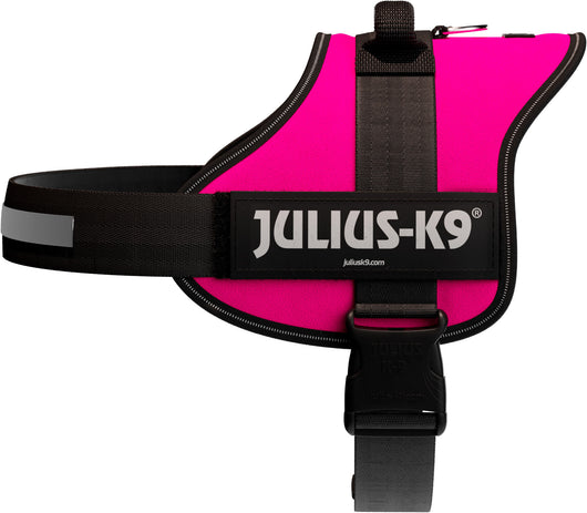 Julius-K9 Powerharness Size 3 (XXL) 82-115cm/50mm, Fuchsia
