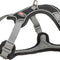 Trixie Premium Active Harness, S 35-50cm/15mm, Black