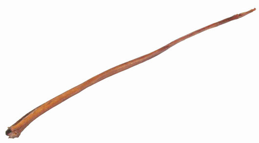 Trixie Bull Pizzle Dog Chew, 70-80cm