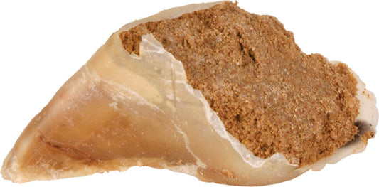 Trixie Chewing Hoof With Meat Filling 115 G