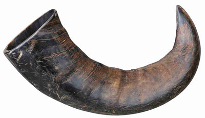 Trixie Genuine Buffalo Chewing Horn Large