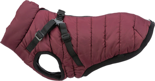 Trixie Pirou Winter Coat with Harness, M 45cm, Sangria