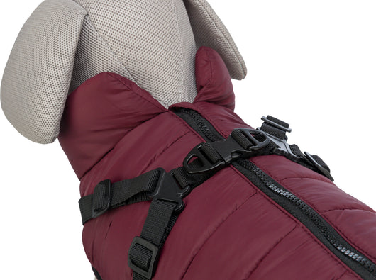 Trixie Pirou Winter Coat with Harness, XS 24cm, Sangria