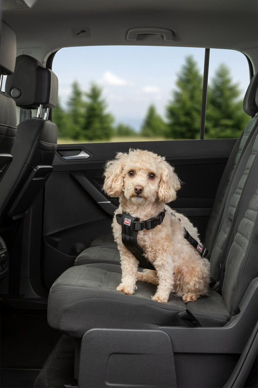 Trixie Car Harness for Dogs with Seat Belt, L 70-90cm/25mm, Black