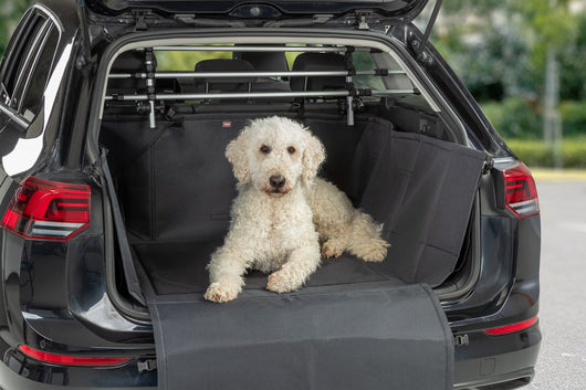 Trixie Protective Car Boot Blanket for Dogs with Bumper Protection and High Sides, 1.64 x 1.25m, Black