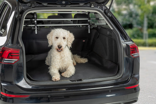 Trixie Water-Repellent Car Boot Mat for Dogs, 1.2 x 1.5m, Black