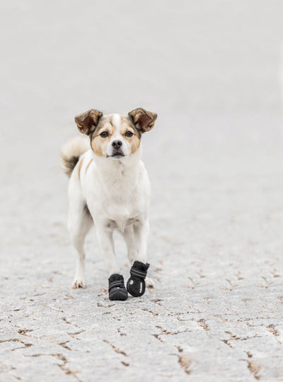 Trixie Walker Active Protective Dog Boots, XS, Pack of 2, Black