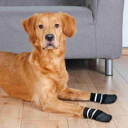 Trixie Dog Socks, L-XL 2 pcs, Black