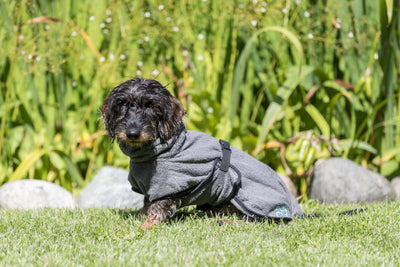 Trixie Dog Bathrobe, Terry Cloth, XS 30cm, Grey
