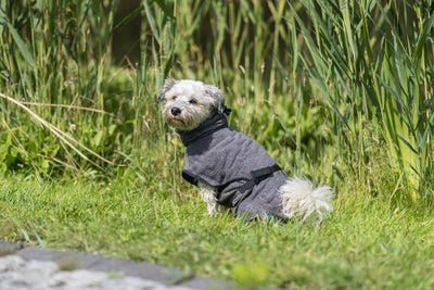 Trixie Dog Bathrobe, Terry Cloth, S 40cm, Grey
