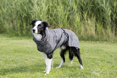 Trixie Dog Bathrobe, Terry Cloth, L 60cm, Grey