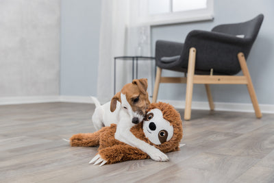 Trixie Sloth Plush Dog Toy, 56cm