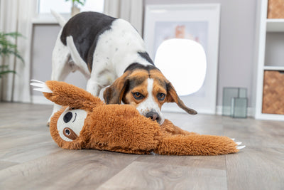 Trixie Sloth Plush Dog Toy, 56cm