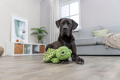 Trixie Turtle Plush Dog Toy with Animal Sound, 40cm