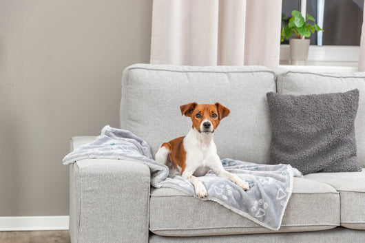 Trixie Jimmy Soft Plush Blanket, 100 x 70cm, Light Grey