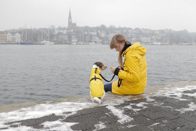 Trixie Vimy Raincoat for Dogs, XS 30cm, Yellow
