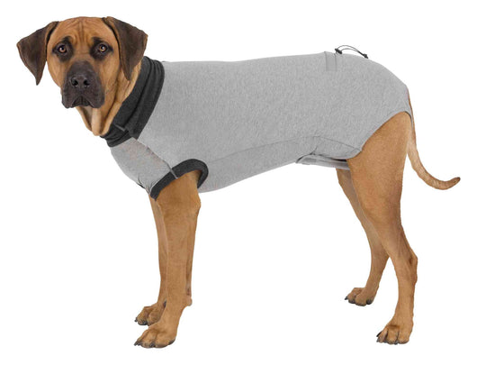 Trixie Protective Body Suit for Dogs, XS-S 30cm, Grey