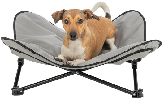Trixie Dog Camping Bed, 69 x 20 x 69cm, Beige/Black
