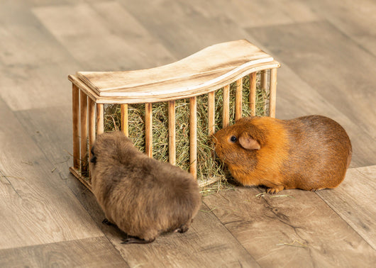 Trixie Hay Manger with Lid, Flamed Wood, 37 x 19 x 13cm