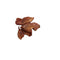 Nova Dog Chews Pigs Ears Large x 50 Box