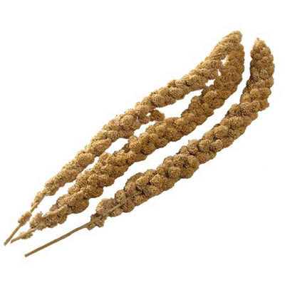 Bucktons Millet Spray 15kg Bucktons