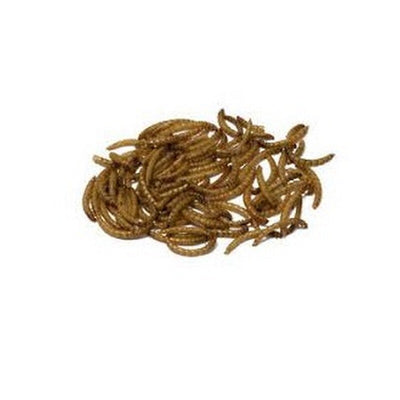 Bucktons Mealworms 12.55kg Mealworms