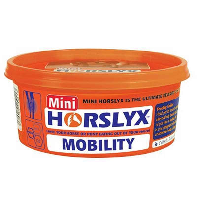 Horslyx Minilick Mobility Lick 650g x 12 Horslyx
