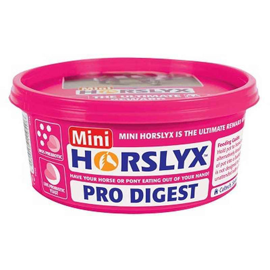 Horslyx Minilick Pro Digest Balancer Lick 650g x 12 Horslyx